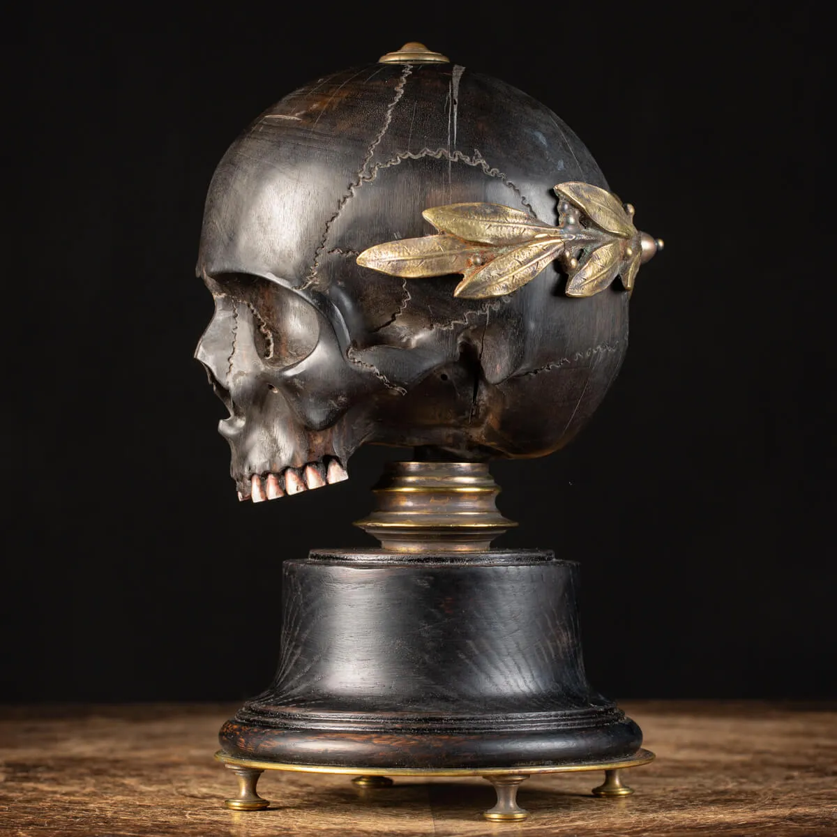 Scultura Teschio Memento Mori