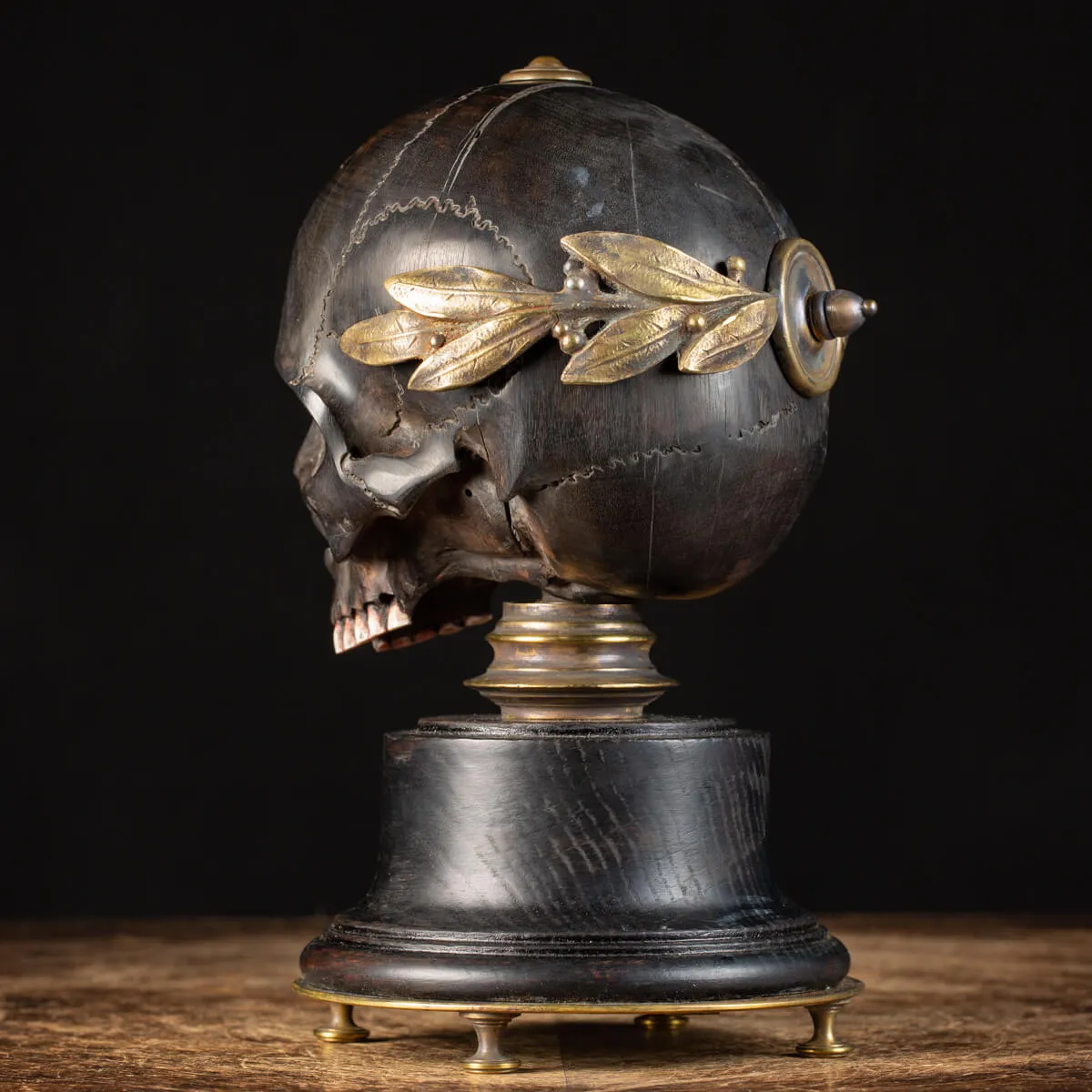 Scultura Teschio Memento Mori