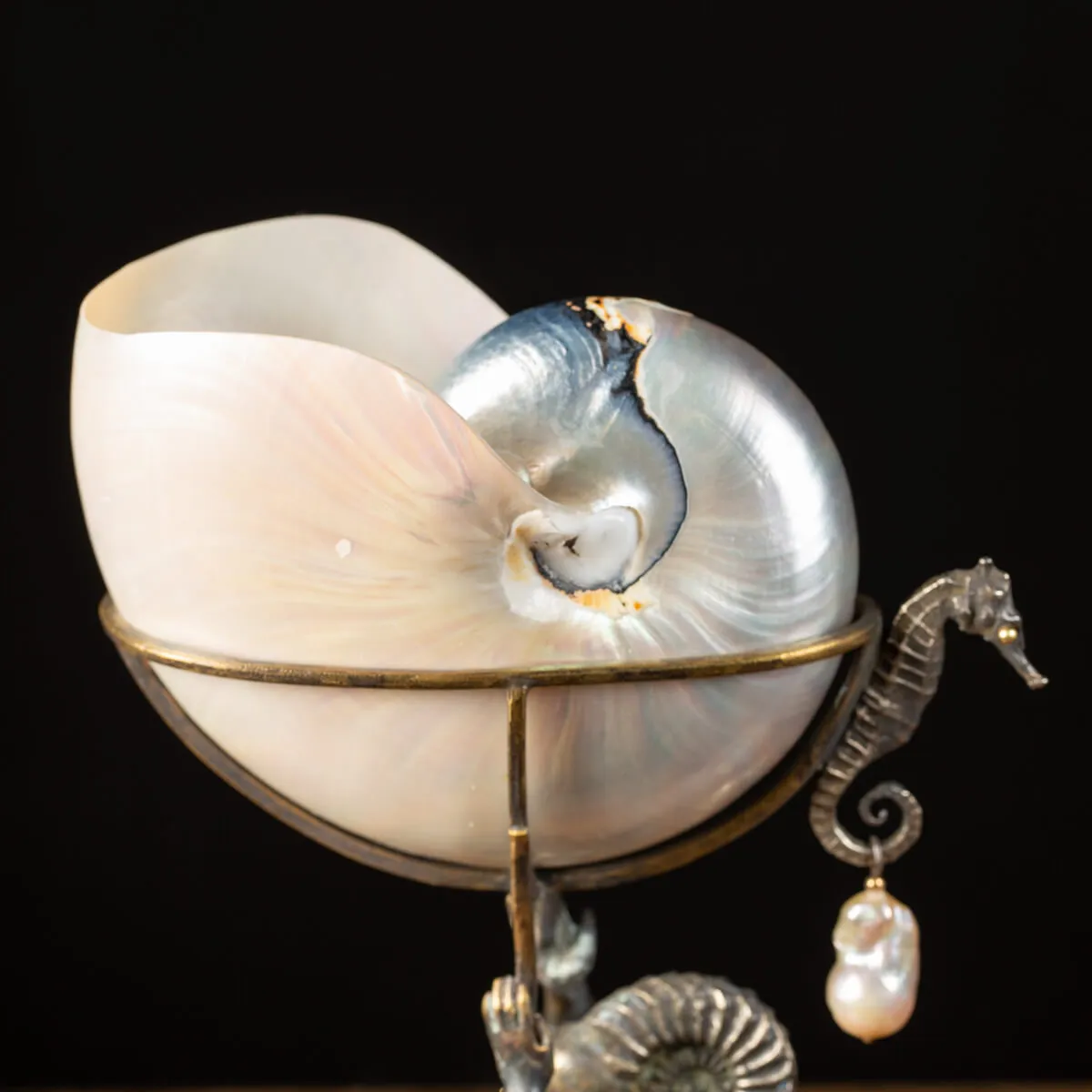 Scultura Bronzo Tritone con Nautilus