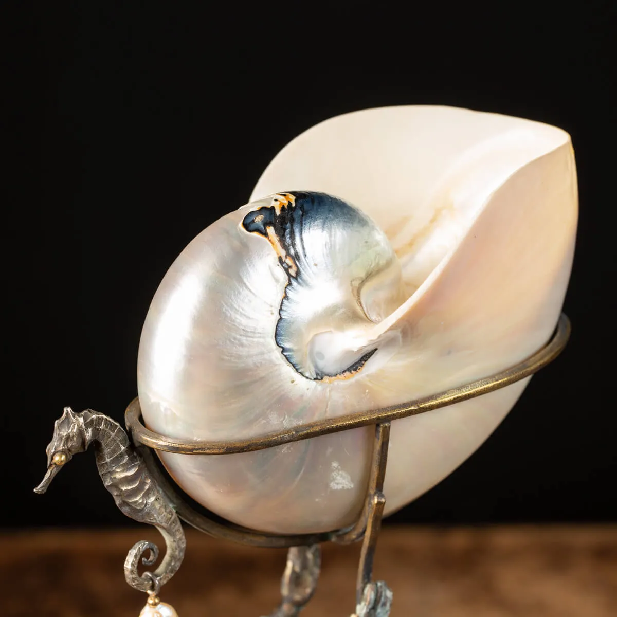 Scultura Bronzo Tritone con Nautilus
