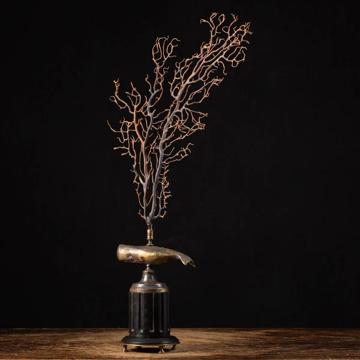 Scultura di balena con gorgonia