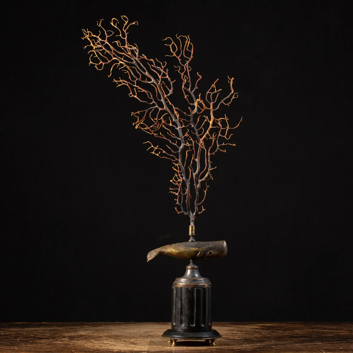 Scultura di balena con gorgonia