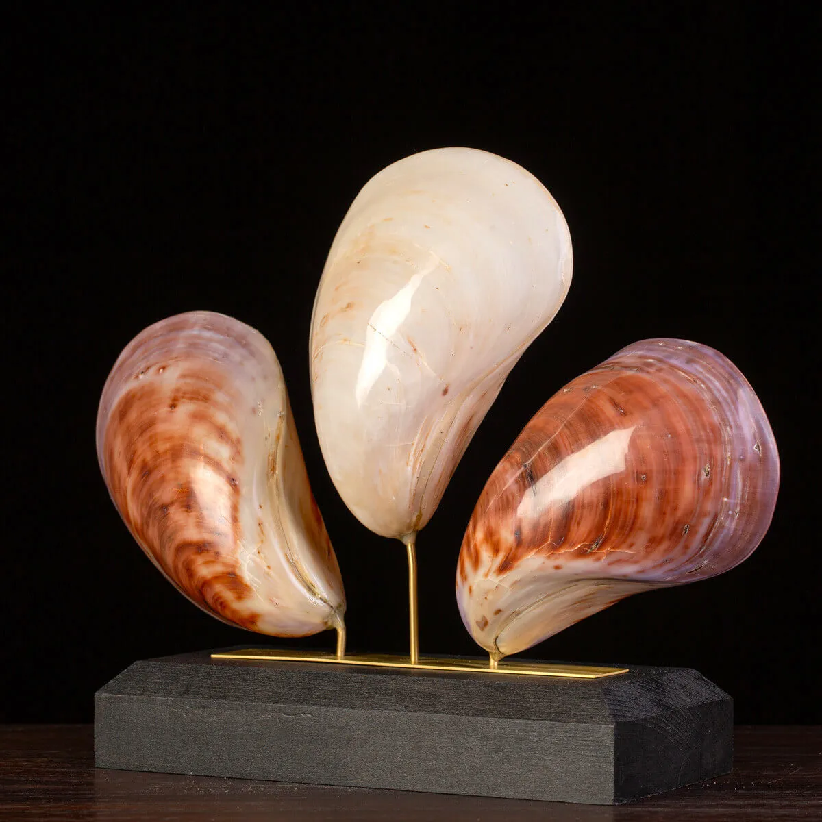 Trinità Madreperlacea – Trittico.