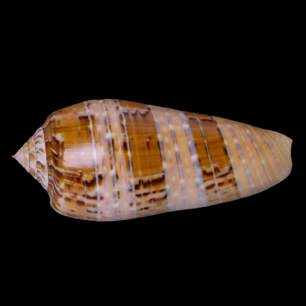 Textilia Dusaveli