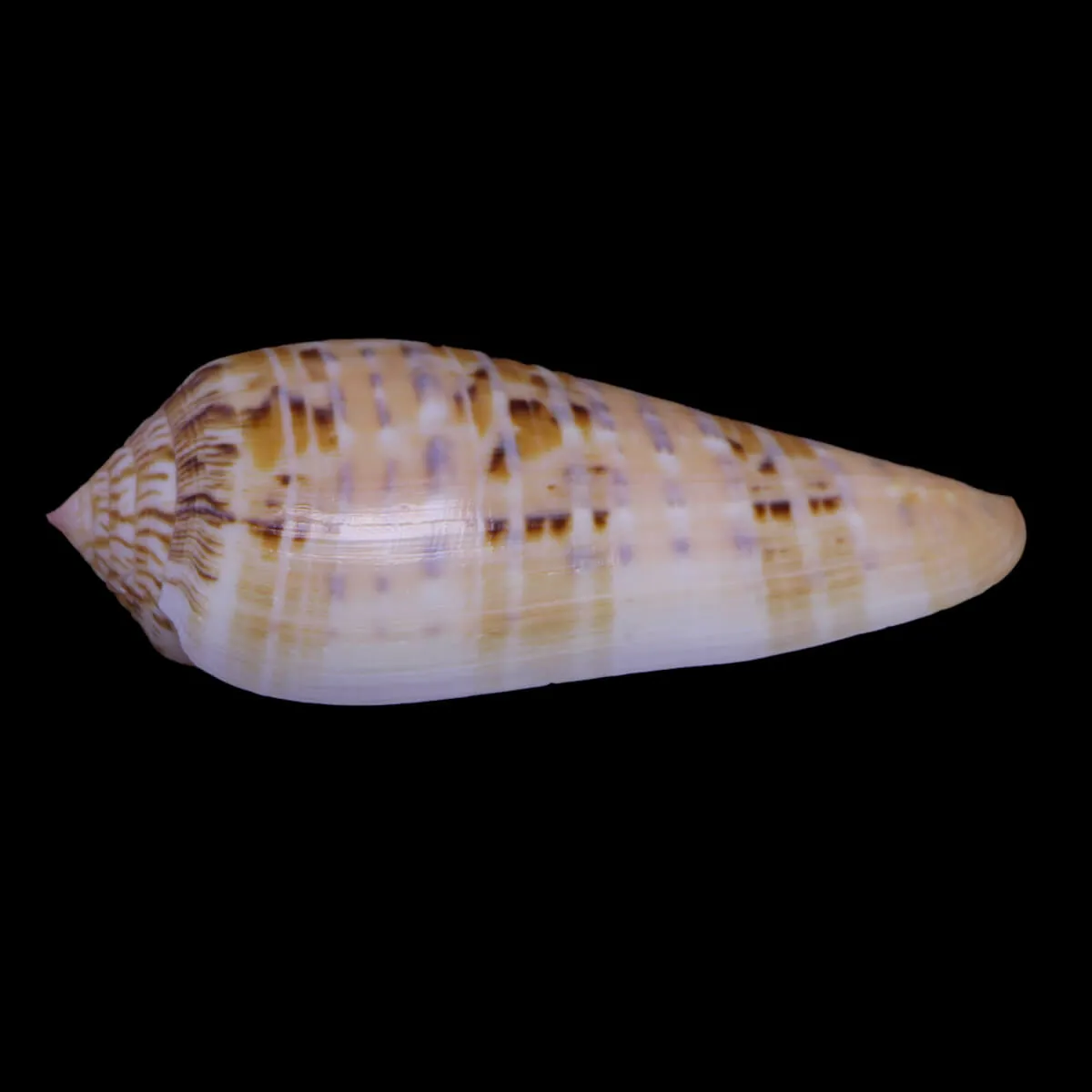 Textilia Dusaveli