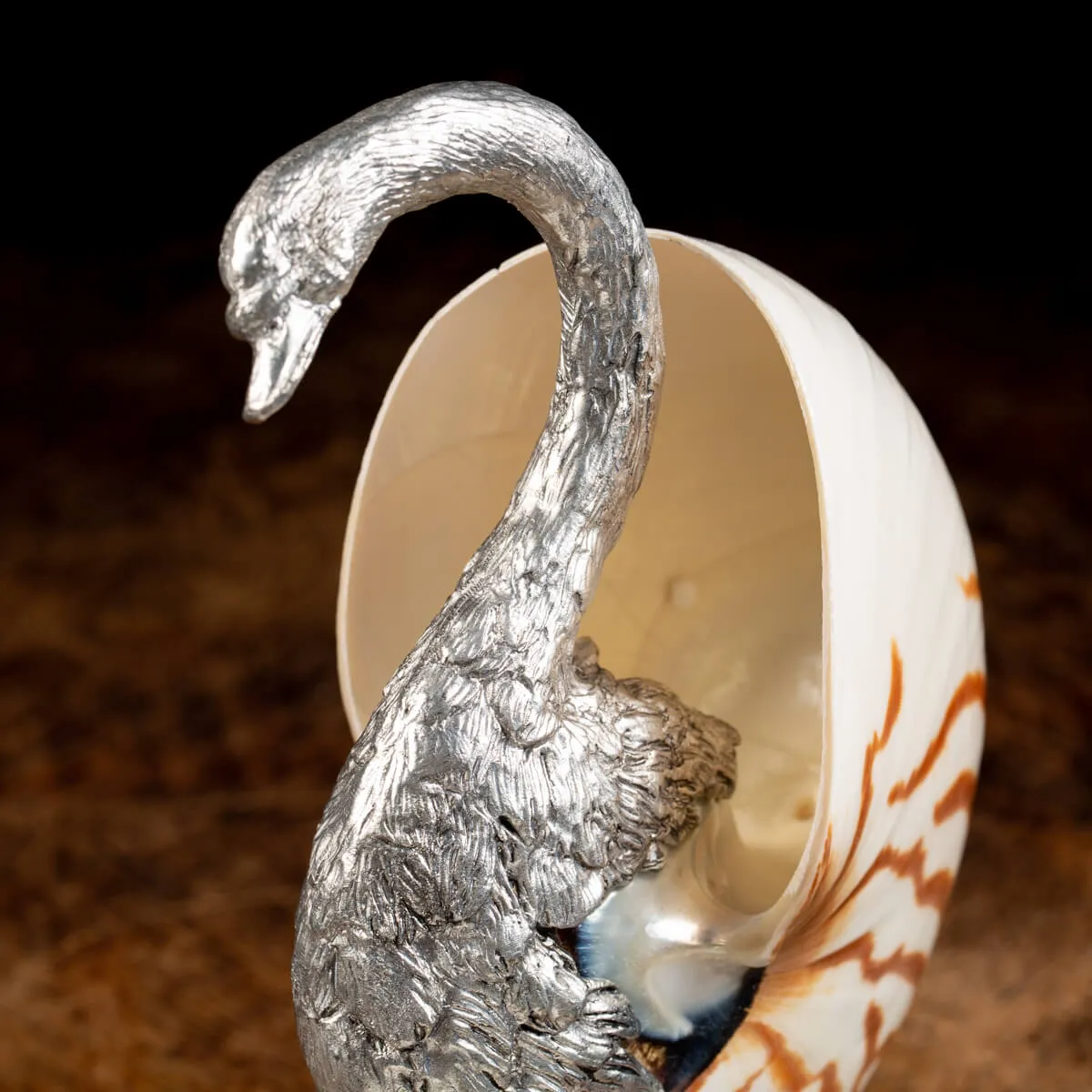 Scultura Cigno su Nautilus Pompilius