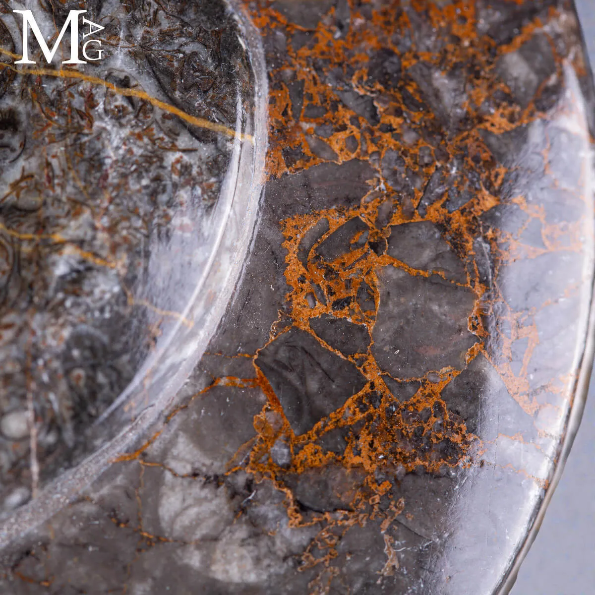 Contenitore  in roccia fossilifera – Ammonite