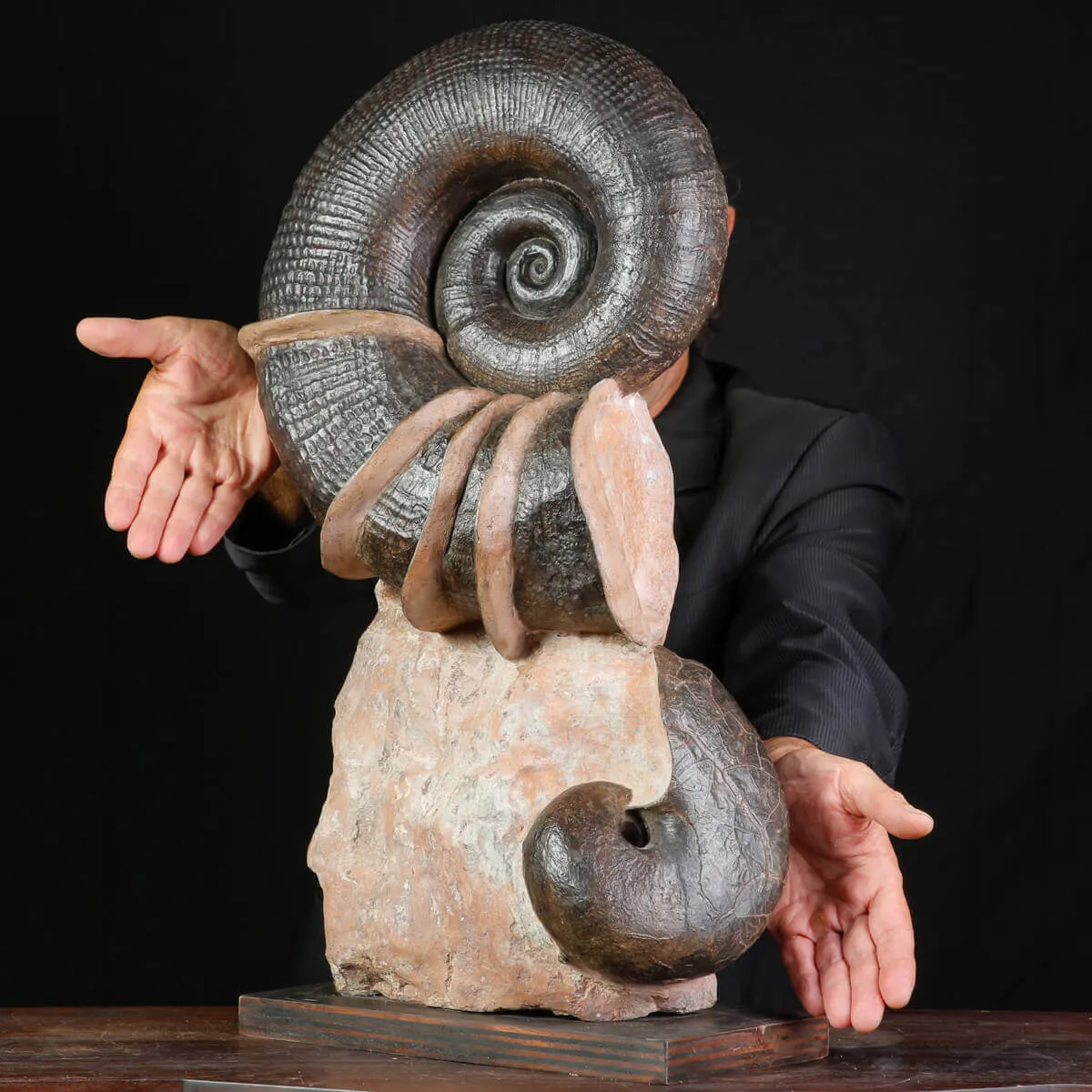 Litoceras fimbriatum: Eleganza Fossile dal Giurassico Francese.