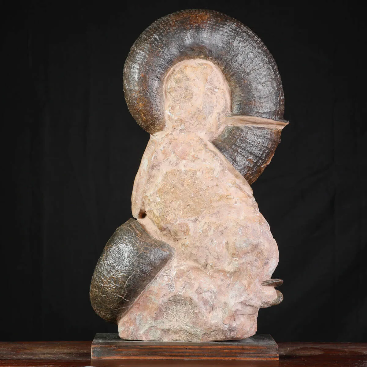 Litoceras fimbriatum: Eleganza Fossile dal Giurassico Francese.
