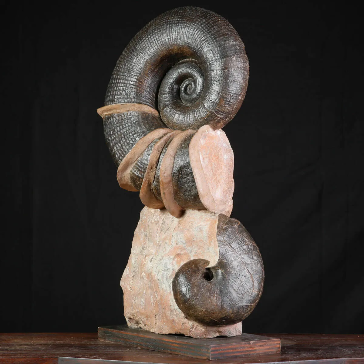 Litoceras fimbriatum: Eleganza Fossile dal Giurassico Francese.