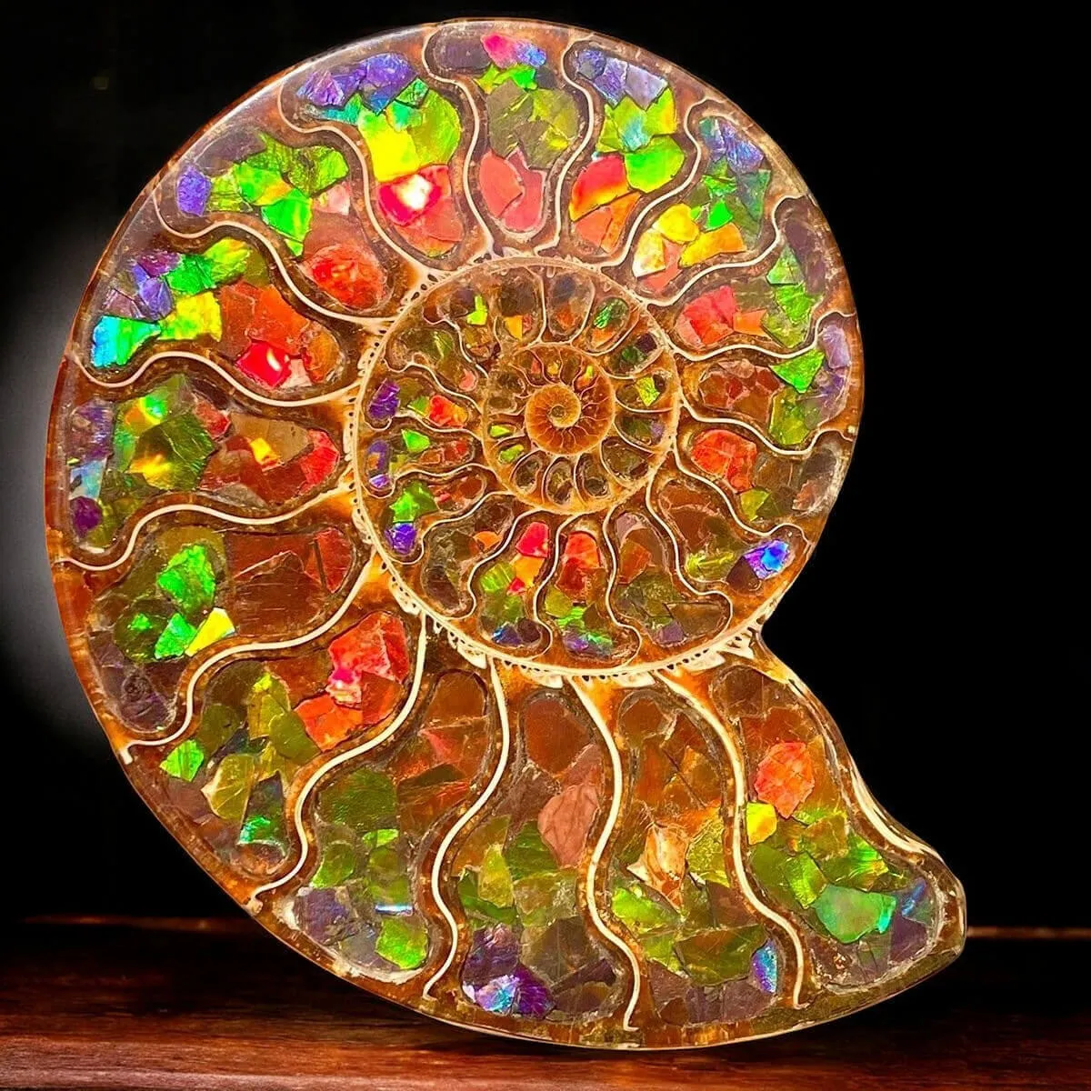 Ammonite Cleoniceras con Ammolite – Un Capolavoro Unico della Natura e dell'Arte.