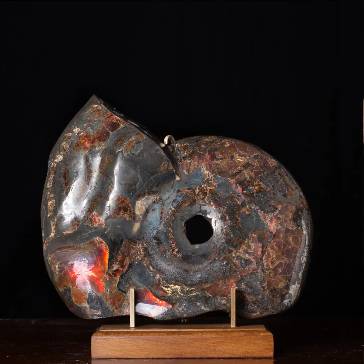 Ammonite Opalizzata con Pirite – Un Fossile di Squisita Bellezza.