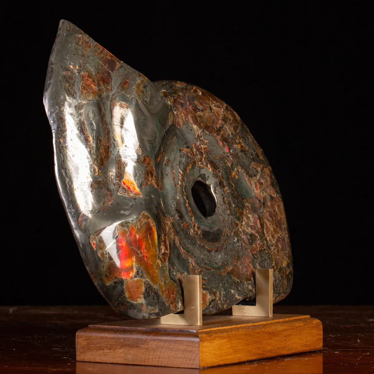 Ammonite Opalizzata con Pirite – Un Fossile di Squisita Bellezza.