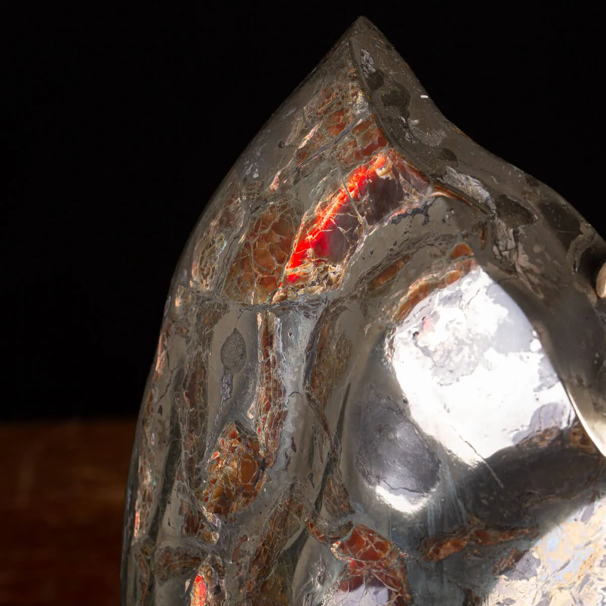 Ammonite Opalizzata con Pirite – Un Fossile di Squisita Bellezza.