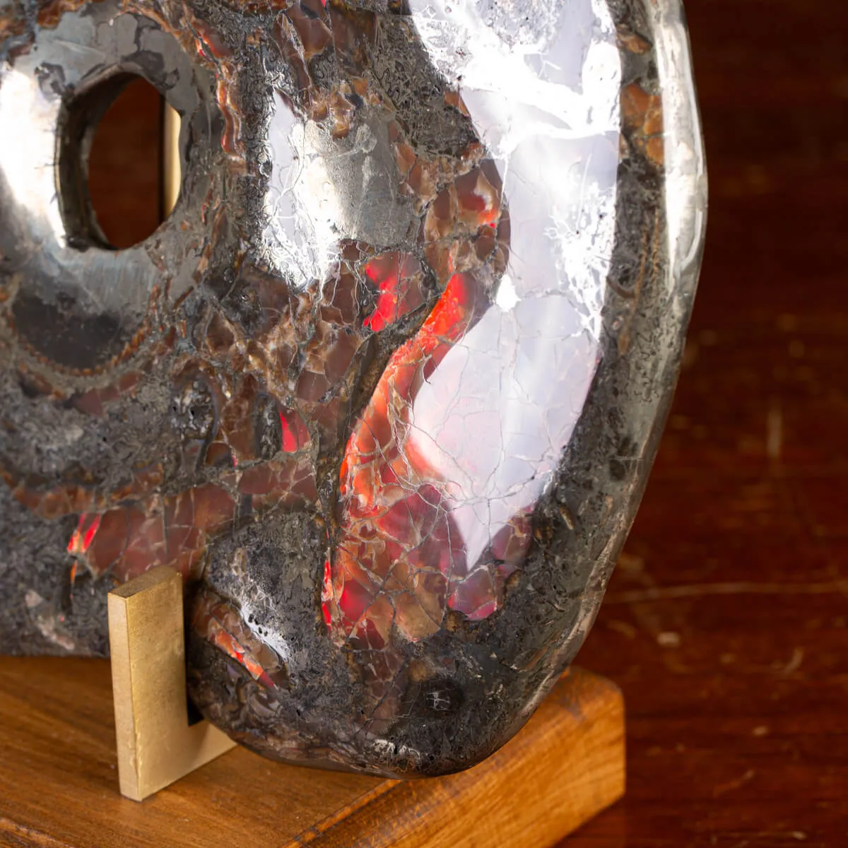 Ammonite Opalizzata con Pirite – Un Fossile di Squisita Bellezza.