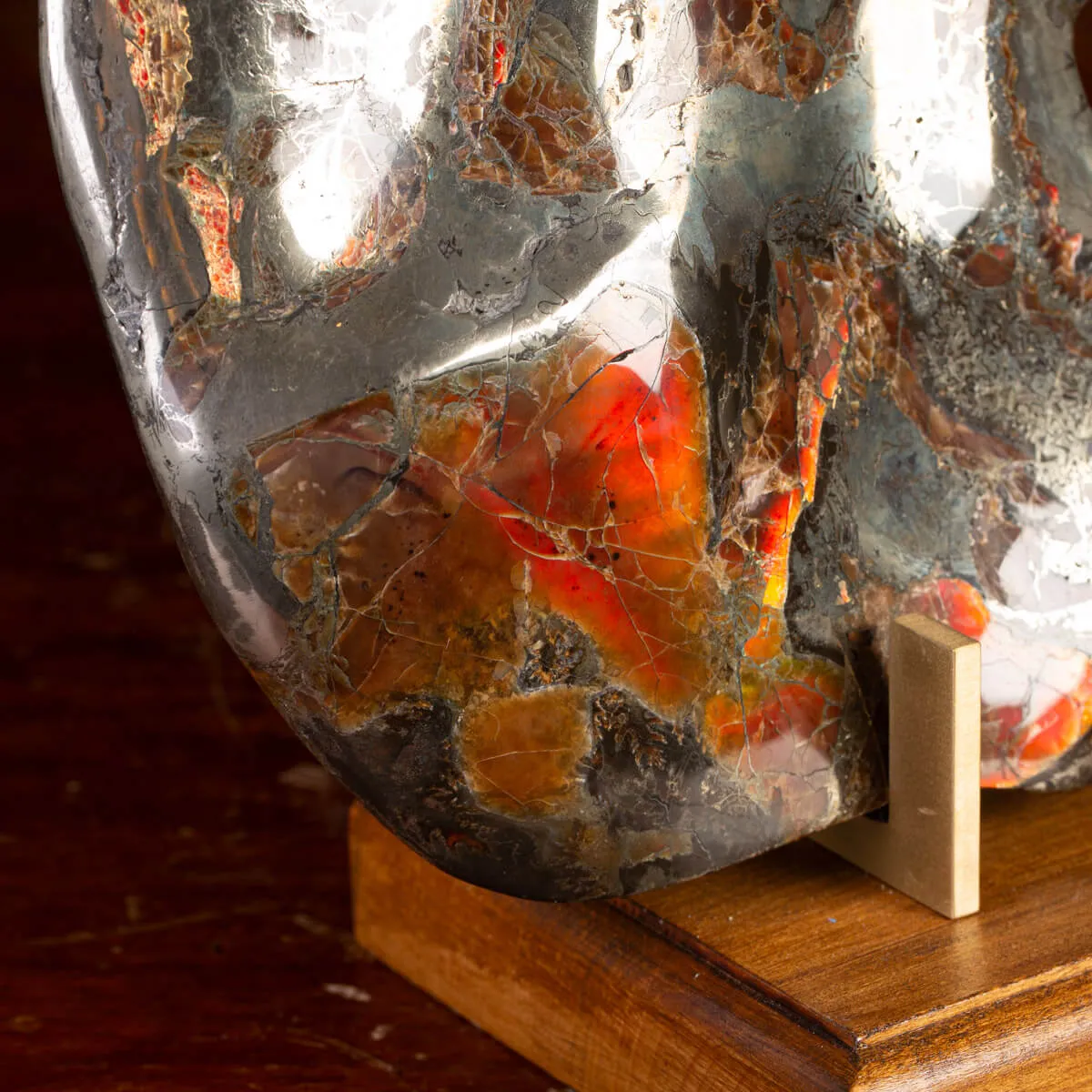 Ammonite Opalizzata con Pirite – Un Fossile di Squisita Bellezza.