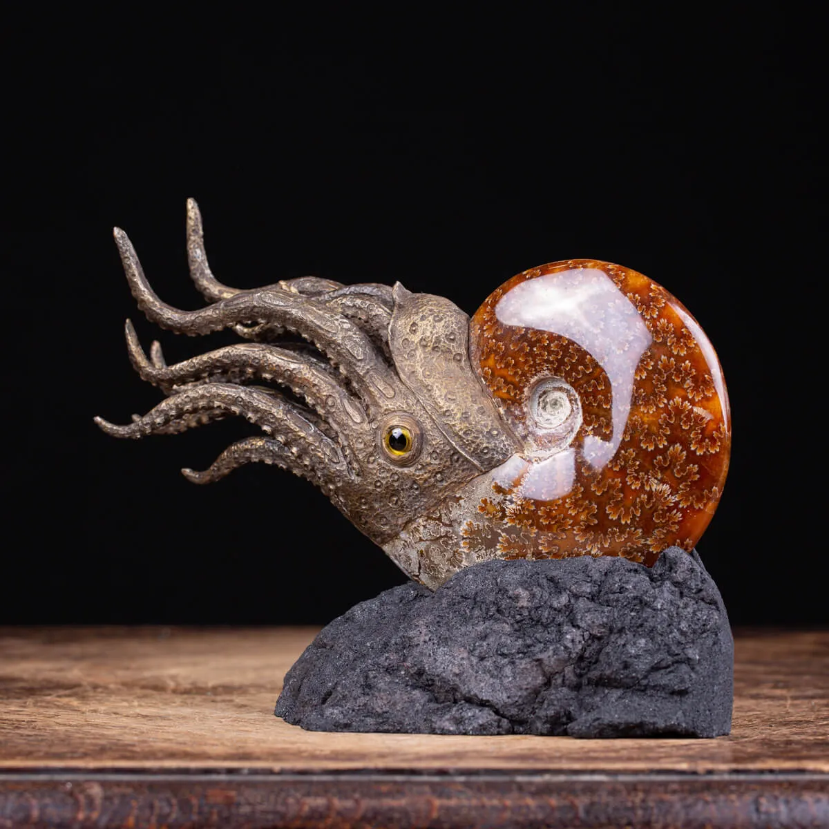 Scultura Ammonite