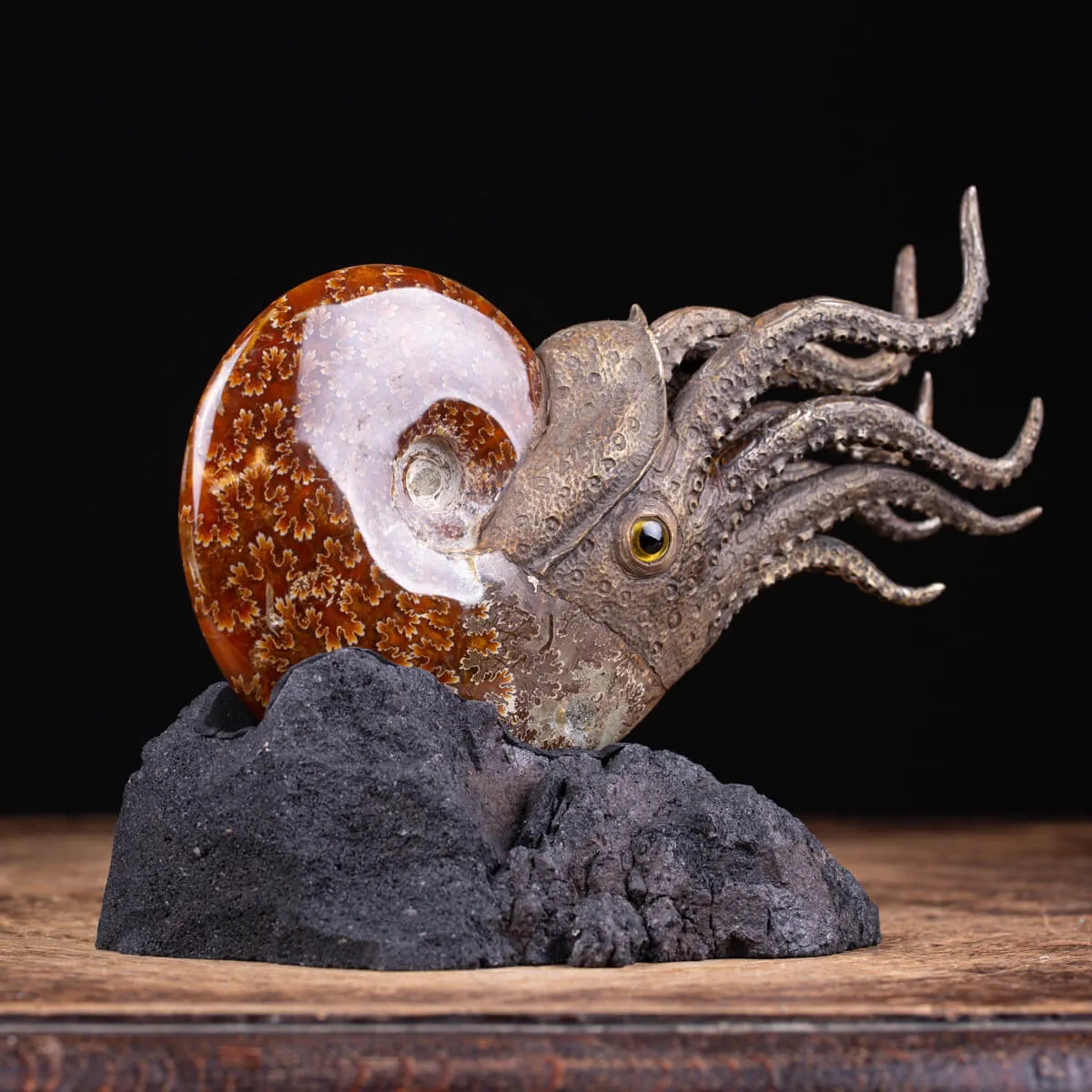 Scultura Ammonite