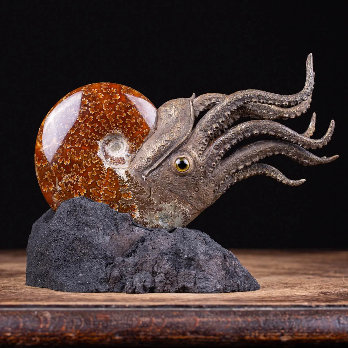 Scultura Ammonite
