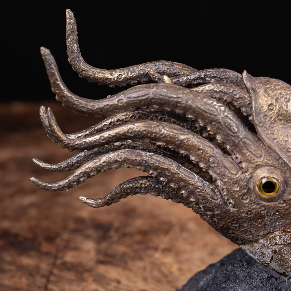 Scultura Ammonite