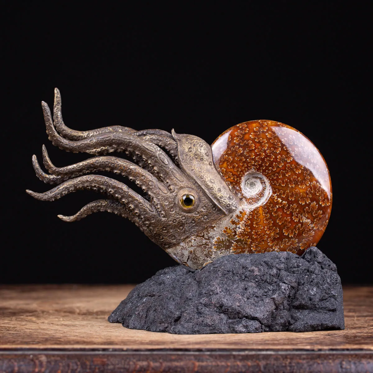 Scultura Ammonite
