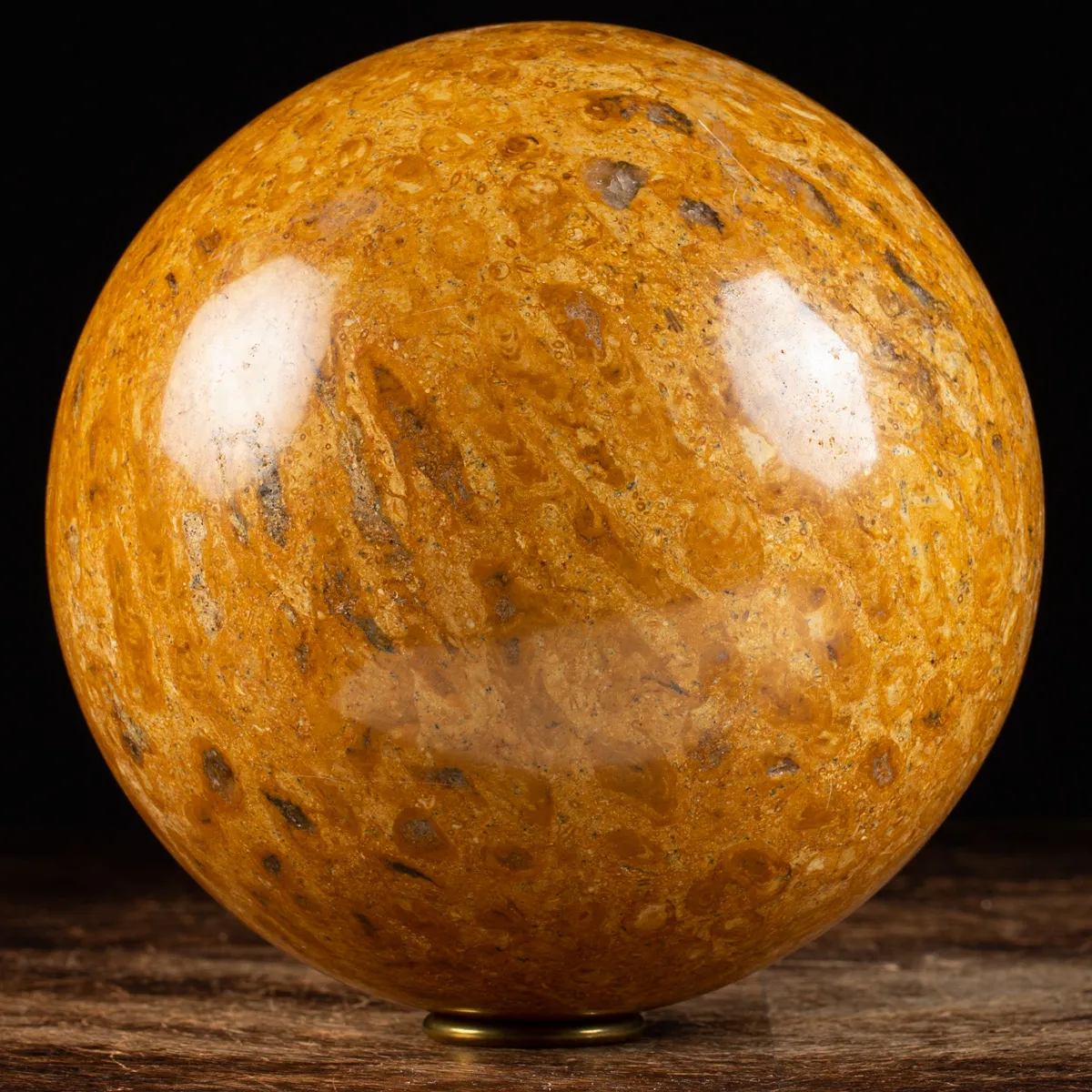 Sfera in Corallo Fossile