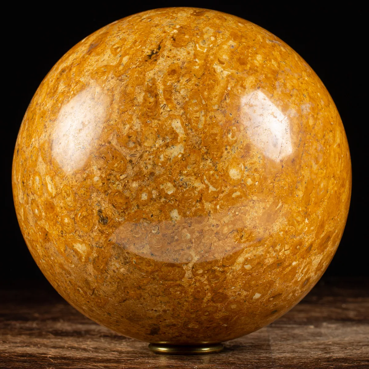Sfera in Corallo Fossile