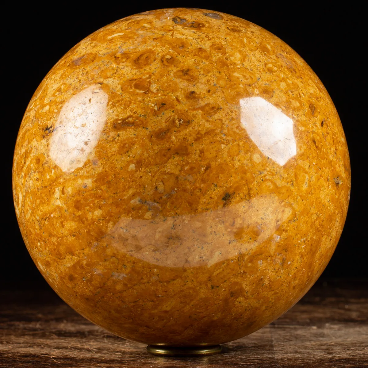 Sfera in Corallo Fossile
