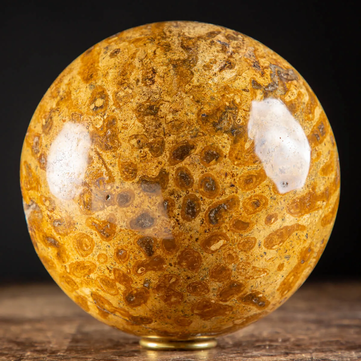Sfera in Corallo Fossile