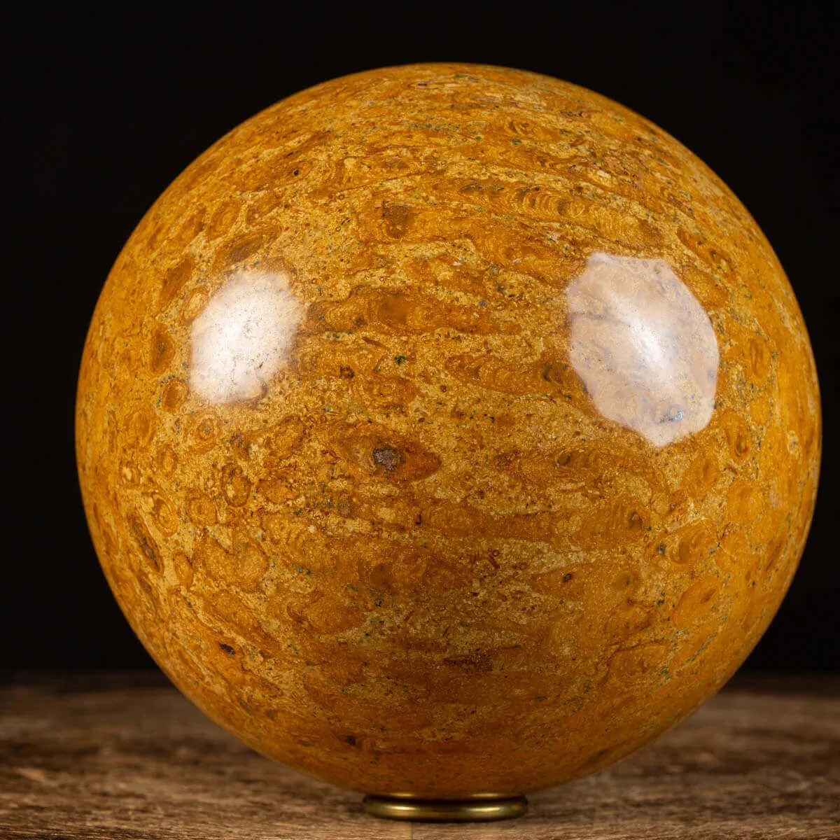 Sfera in Corallo Fossile