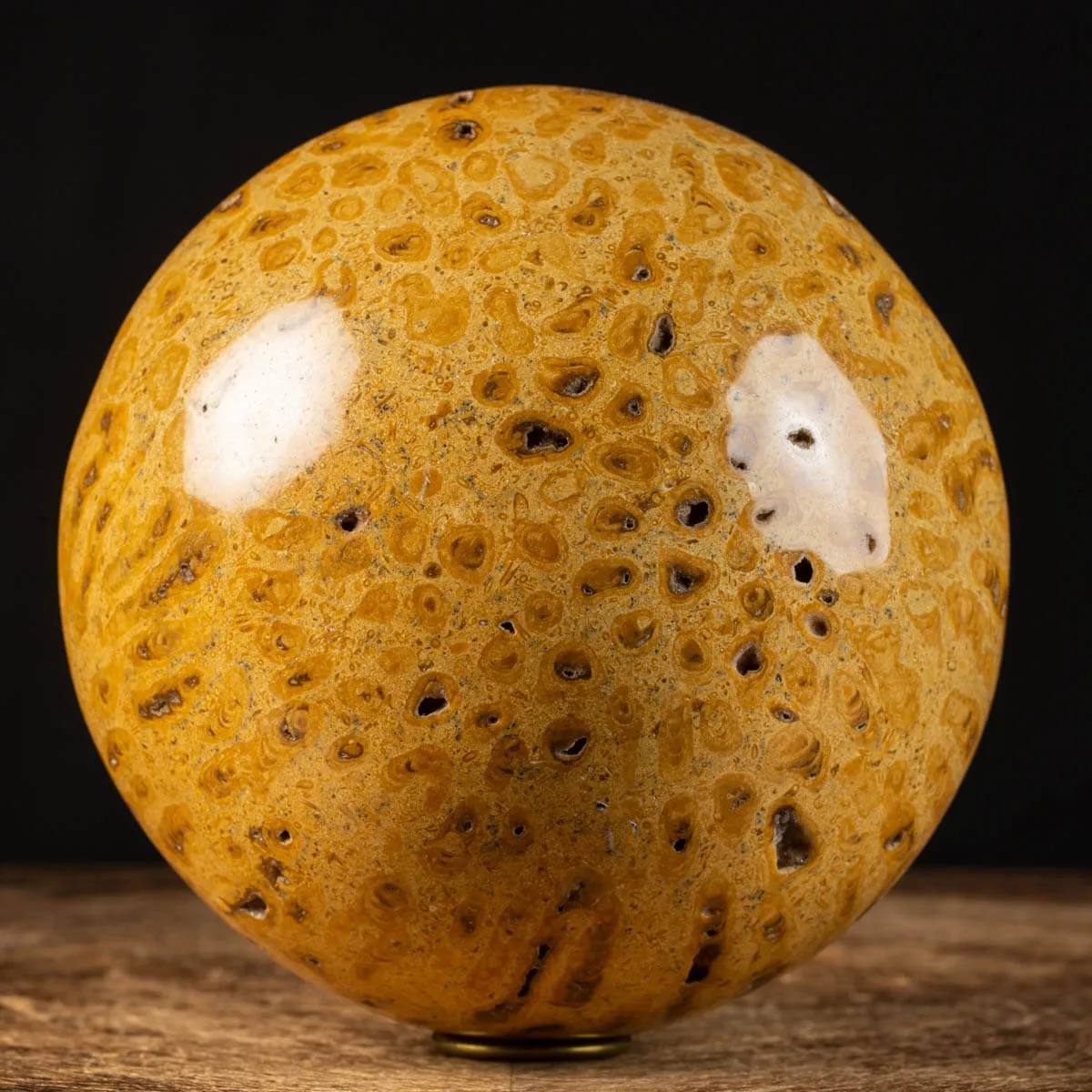 Sfera in Corallo Fossile