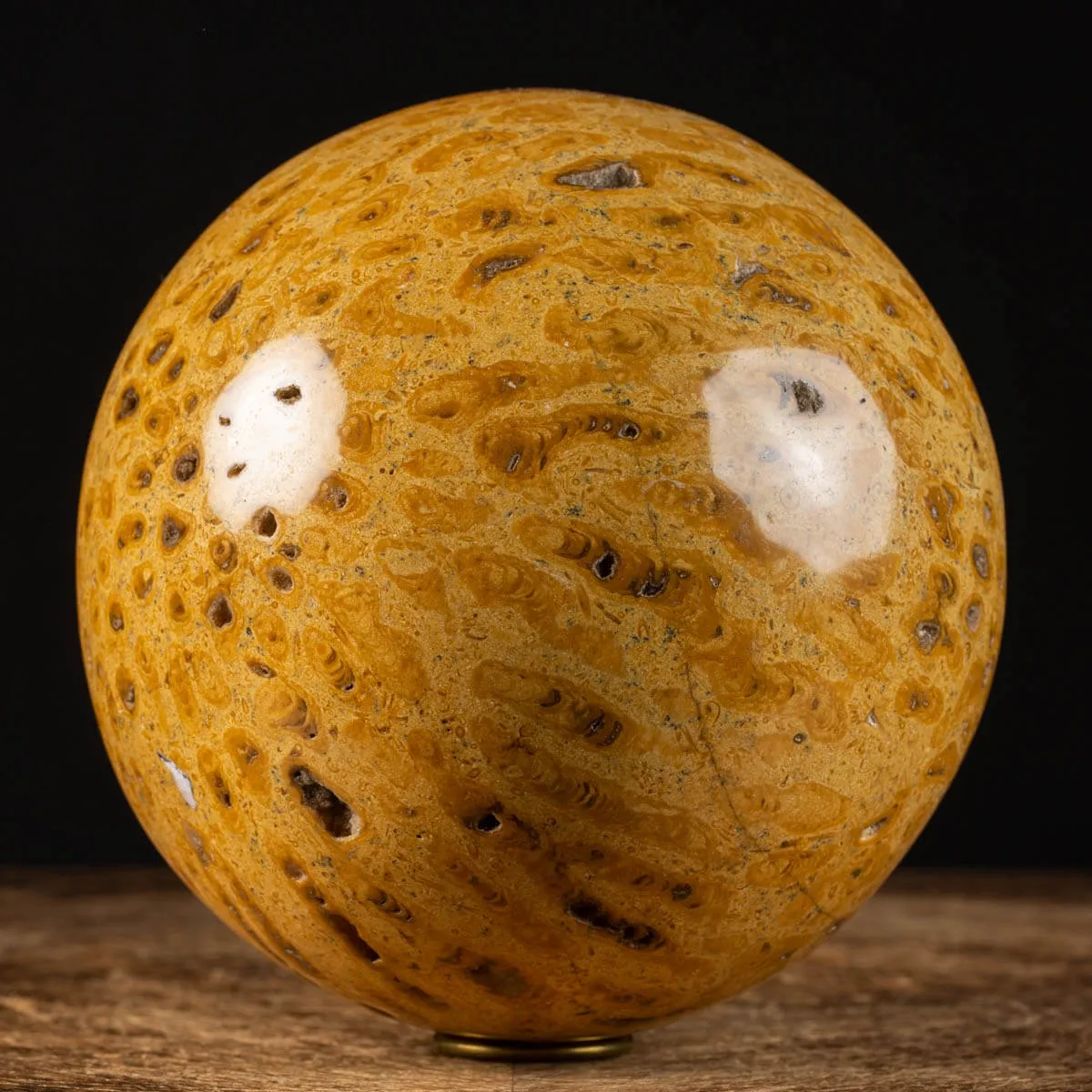 Sfera in Corallo Fossile