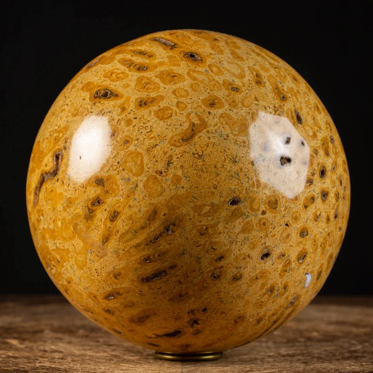 Sfera in Corallo Fossile