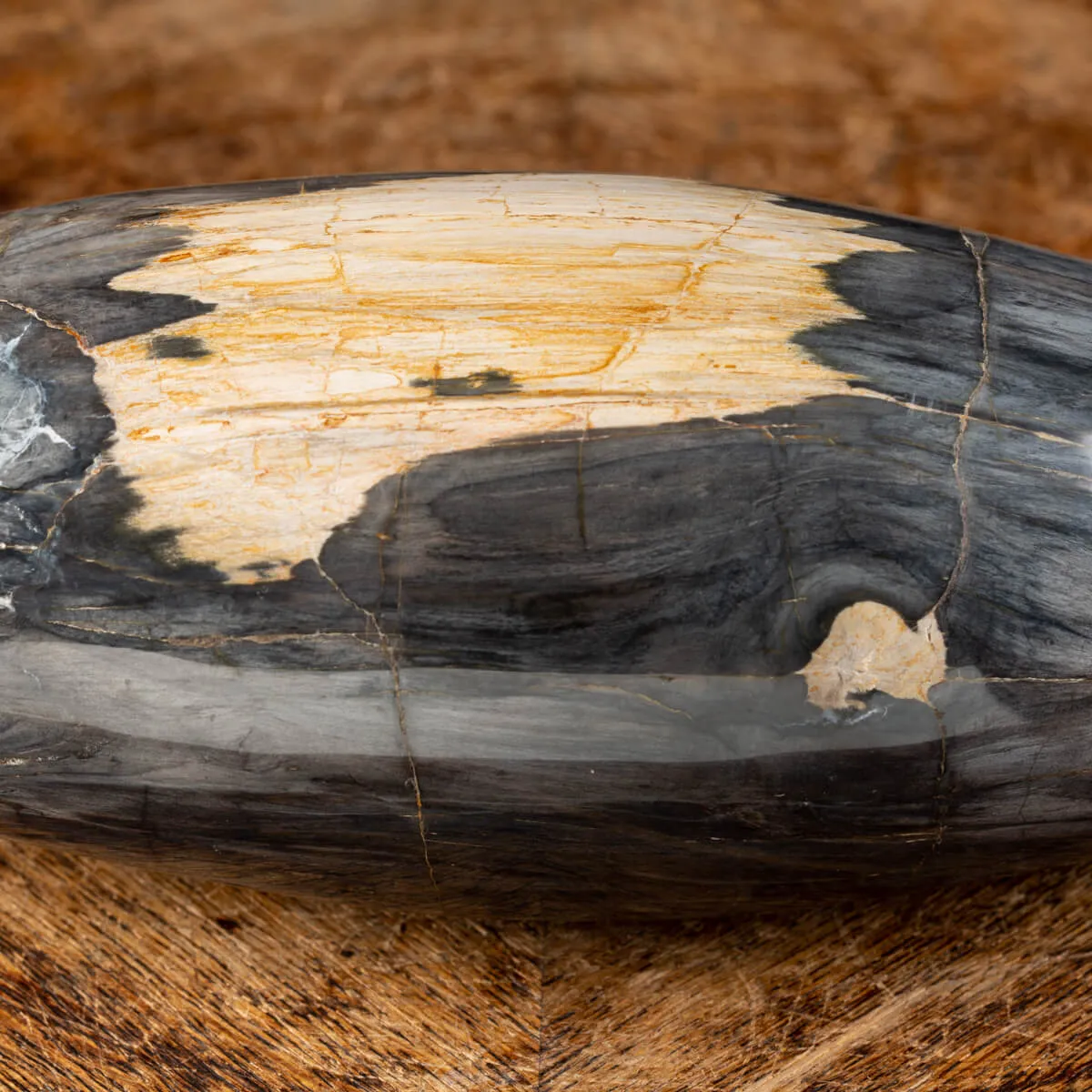 Ovale Legno Pietrificato