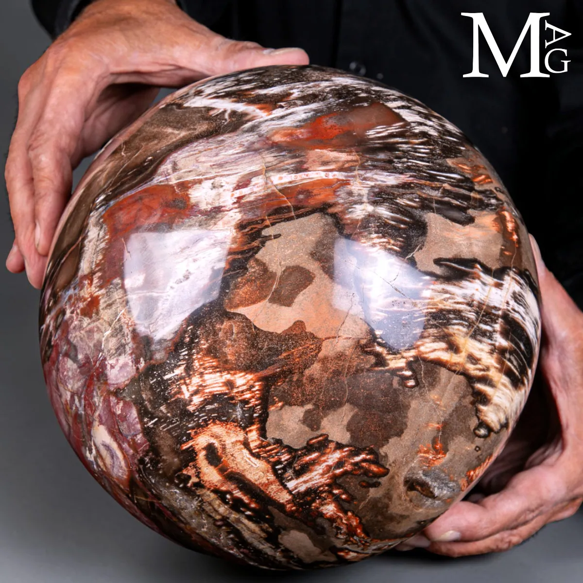 Sfera in Legno Fossile del Madagascar - 225 mm