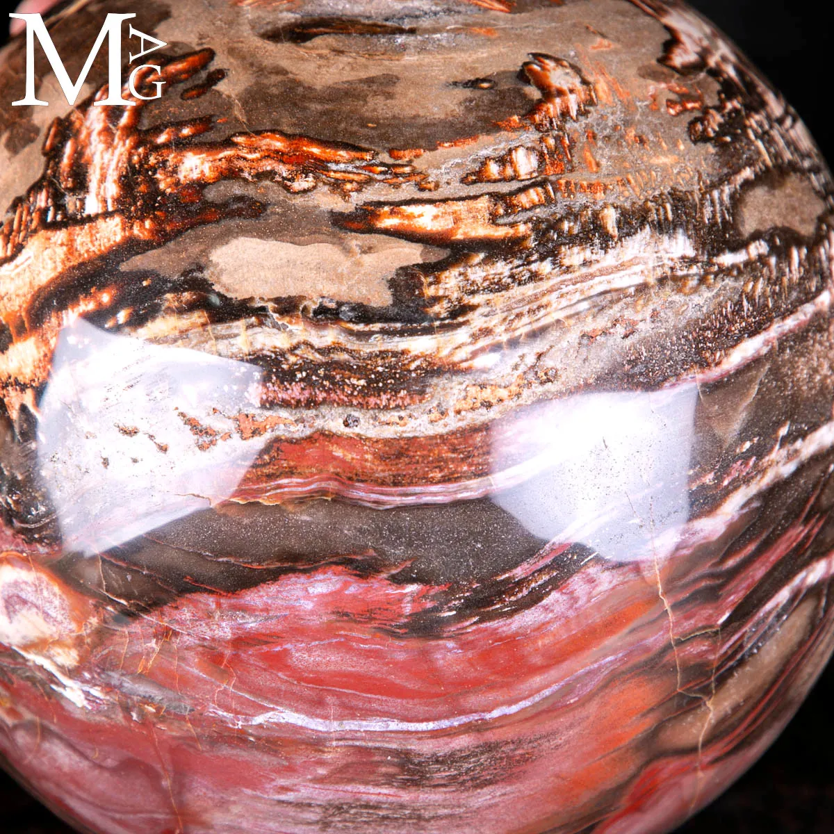 Sfera in Legno Fossile del Madagascar - 225 mm