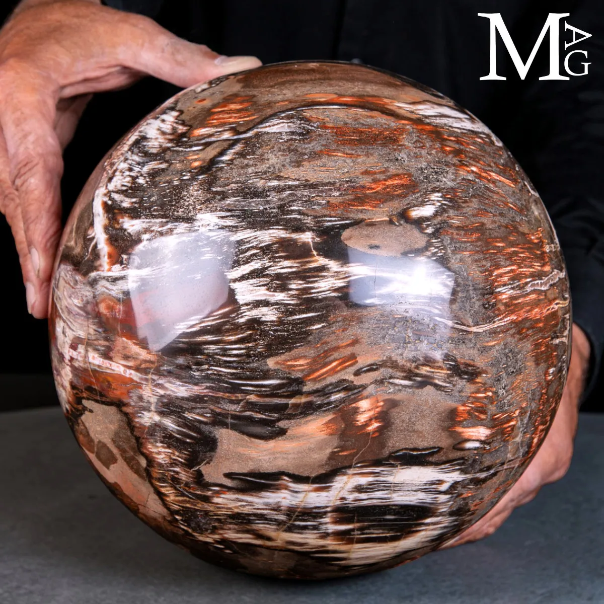 Sfera in Legno Fossile del Madagascar - 225 mm