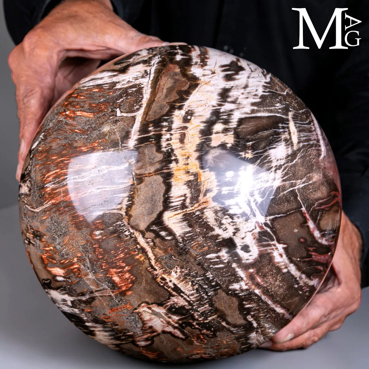 Sfera in Legno Fossile del Madagascar - 225 mm
