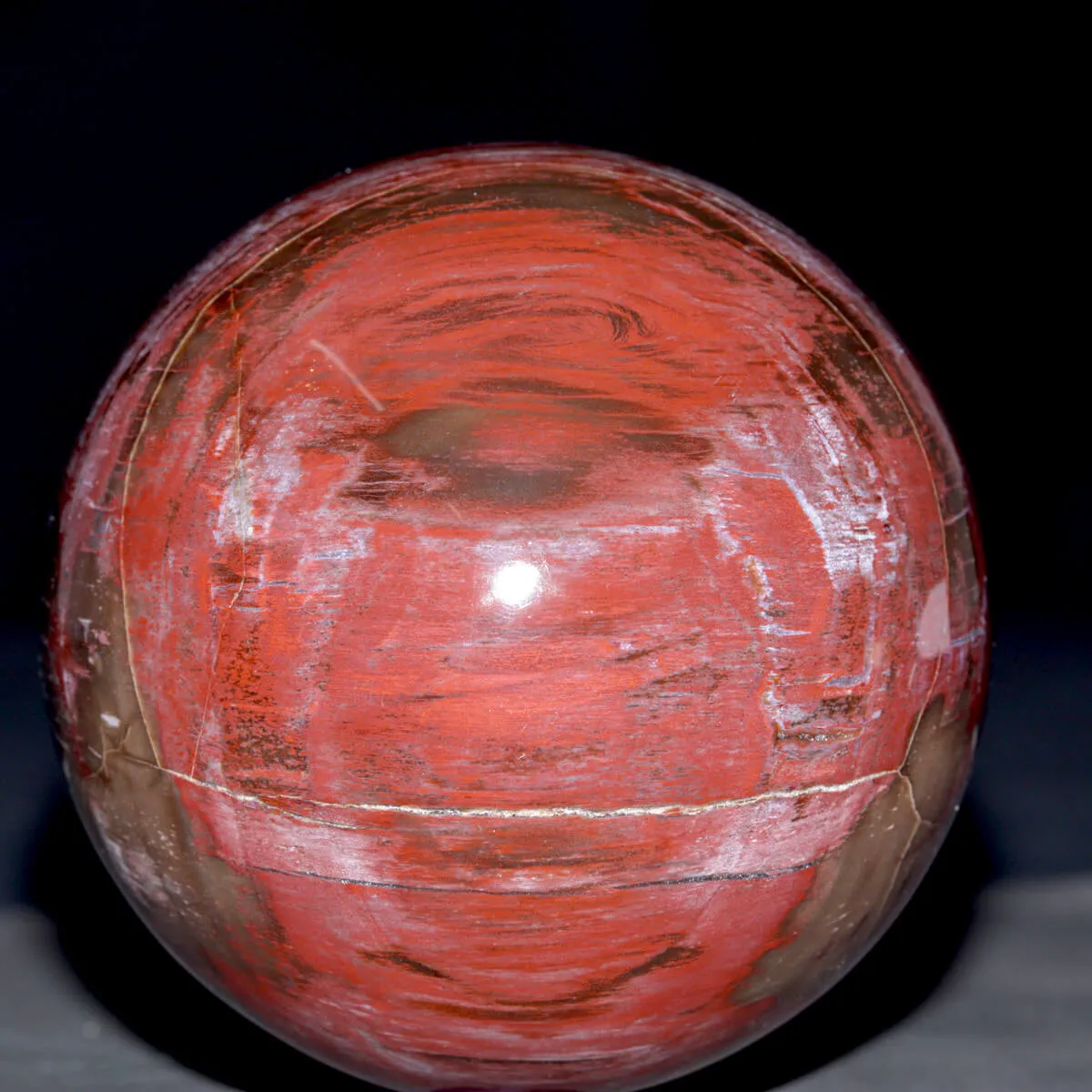 Sfera di Legno Fossile del Madagascar.