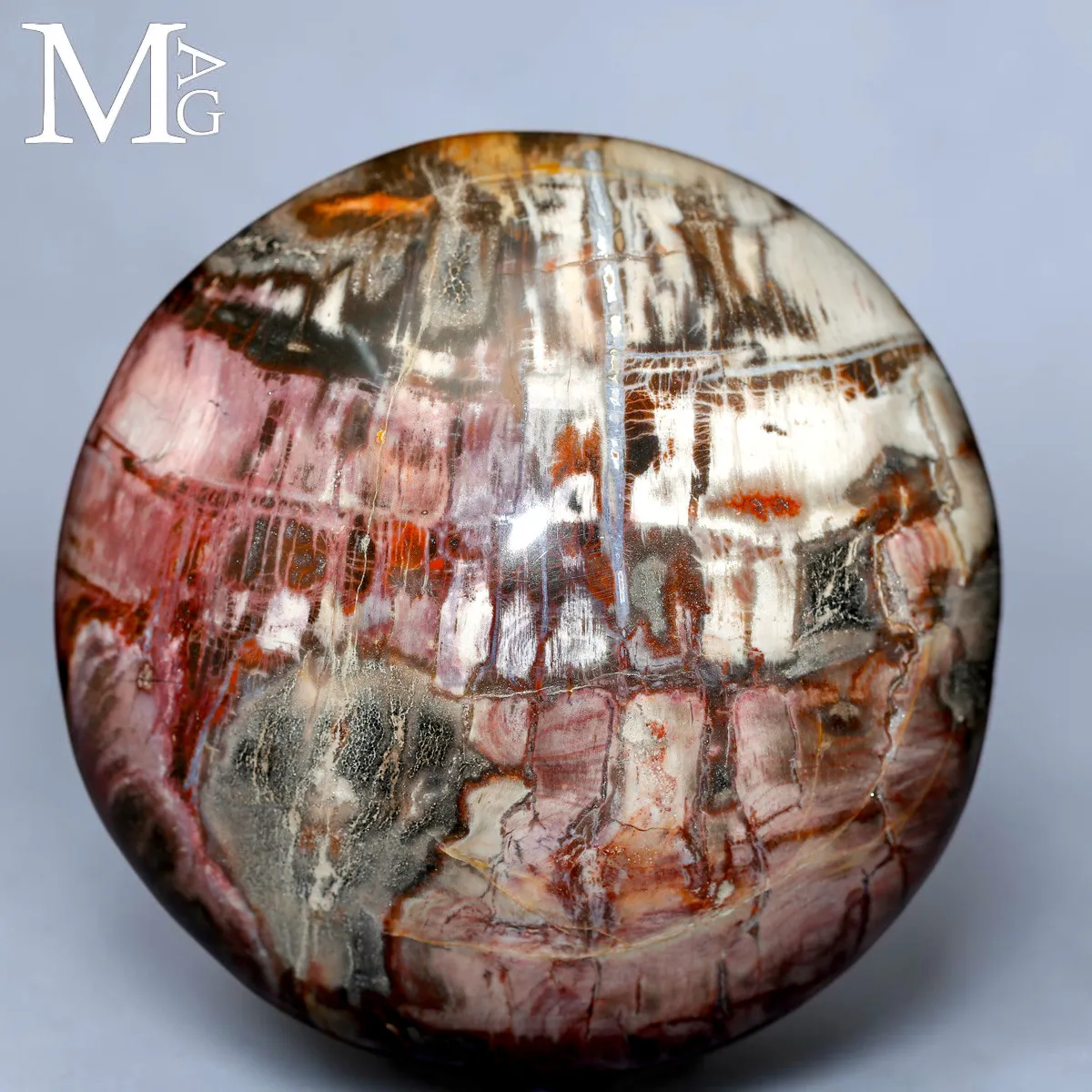 Sfera in Legno Fossile del Madagascar - Triassico
