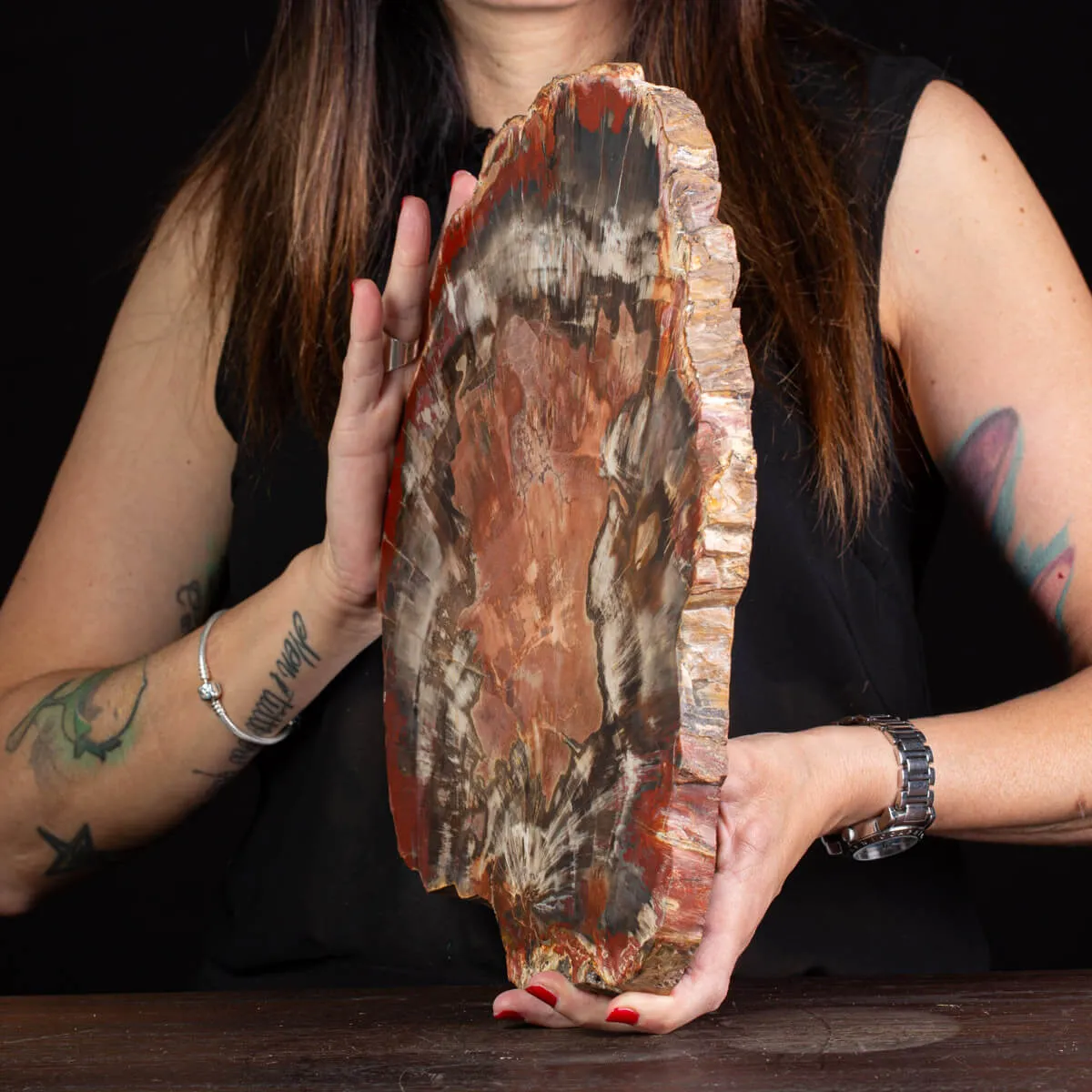 Sezione di Tronco Fossile del Madagascar.