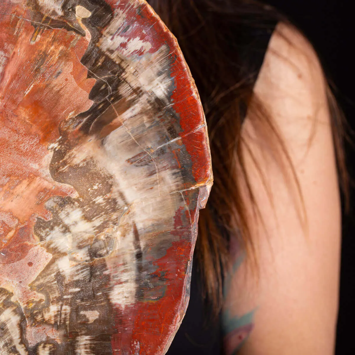 Un’Opera d’Arte Naturale: Legno Fossile.