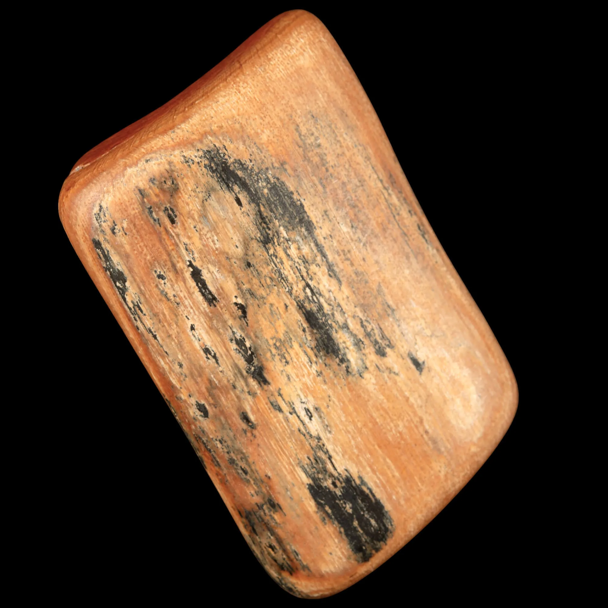 Sezione di Zanna Fossile di Mammuthus Primigenius.