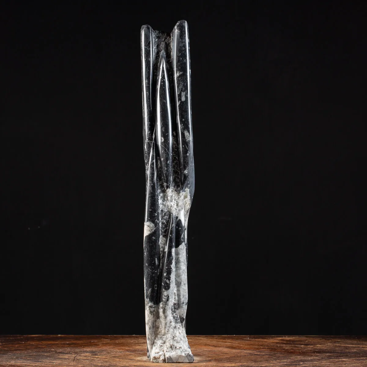 Torre con Orthoceras Fossili