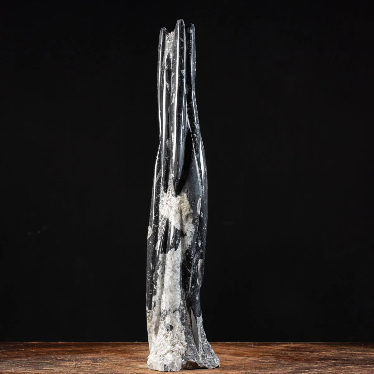 Torre con Orthoceras Fossili