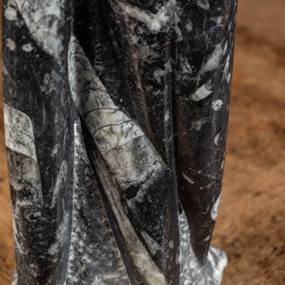 Orthoceras Levigato e Lucidato: Eleganza Preistorica.