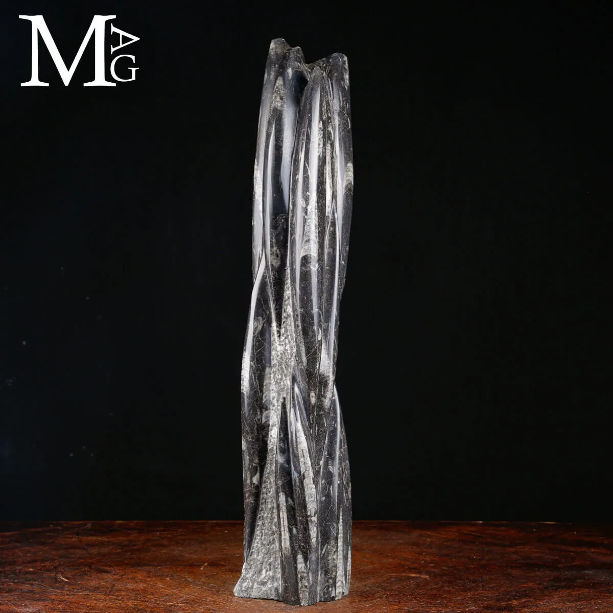 Torre Fossile di Orthoceras