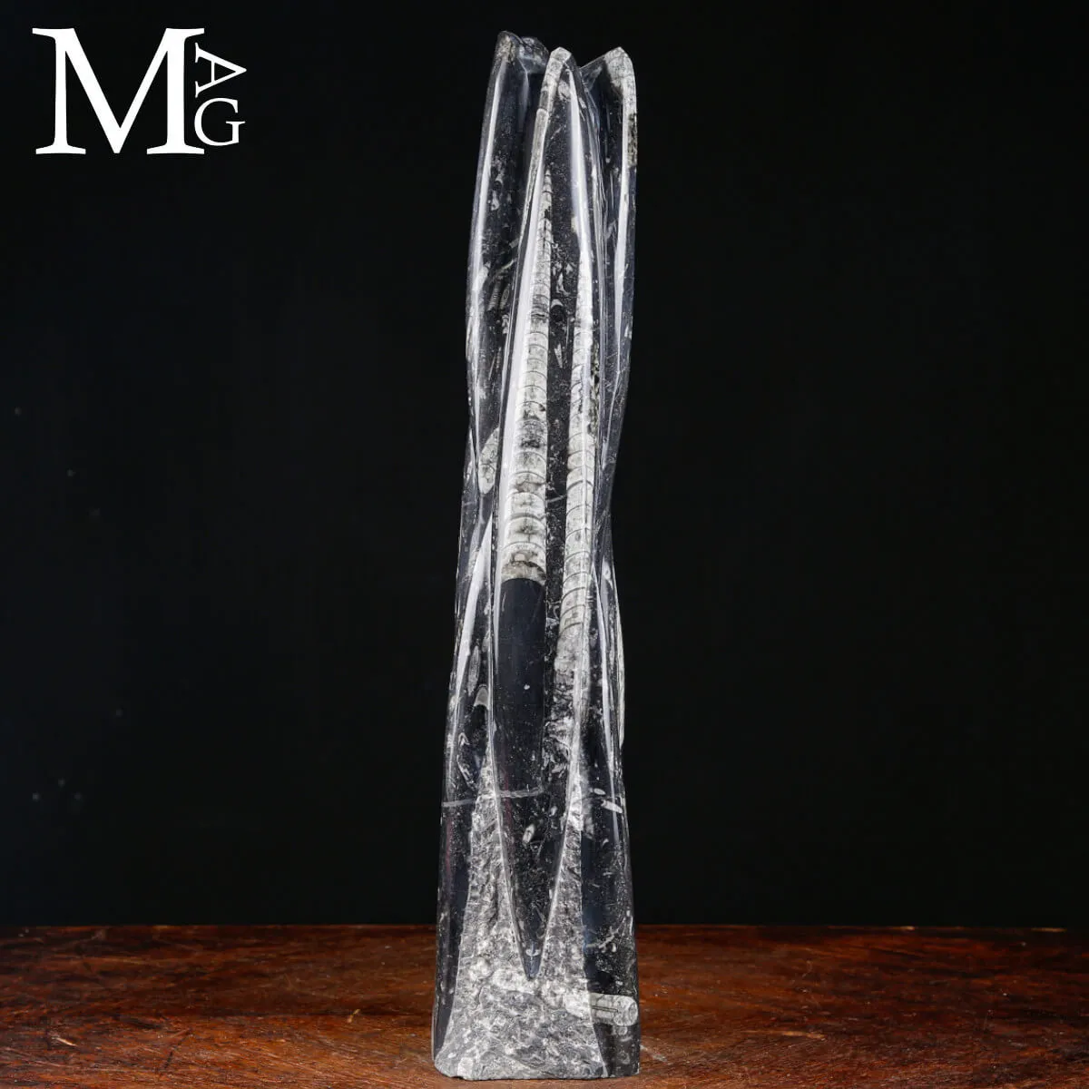 Torre Fossile in Orthoceras – Verticalità Primordiale