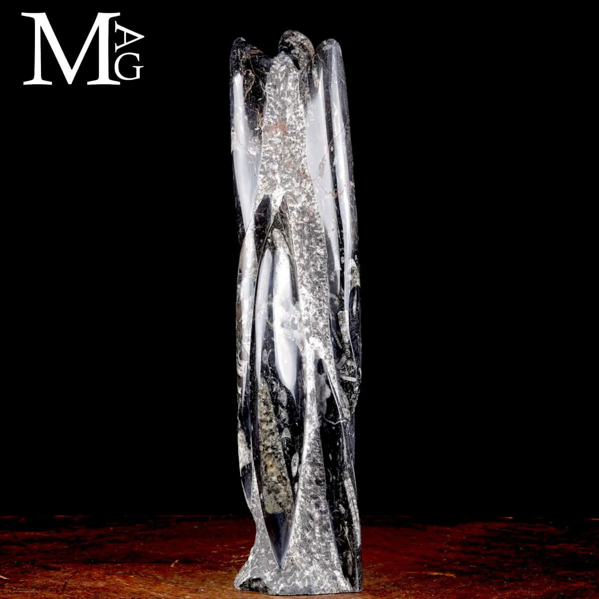 Colonna Fossile in Orthoceras – Il Viaggio del Tempo