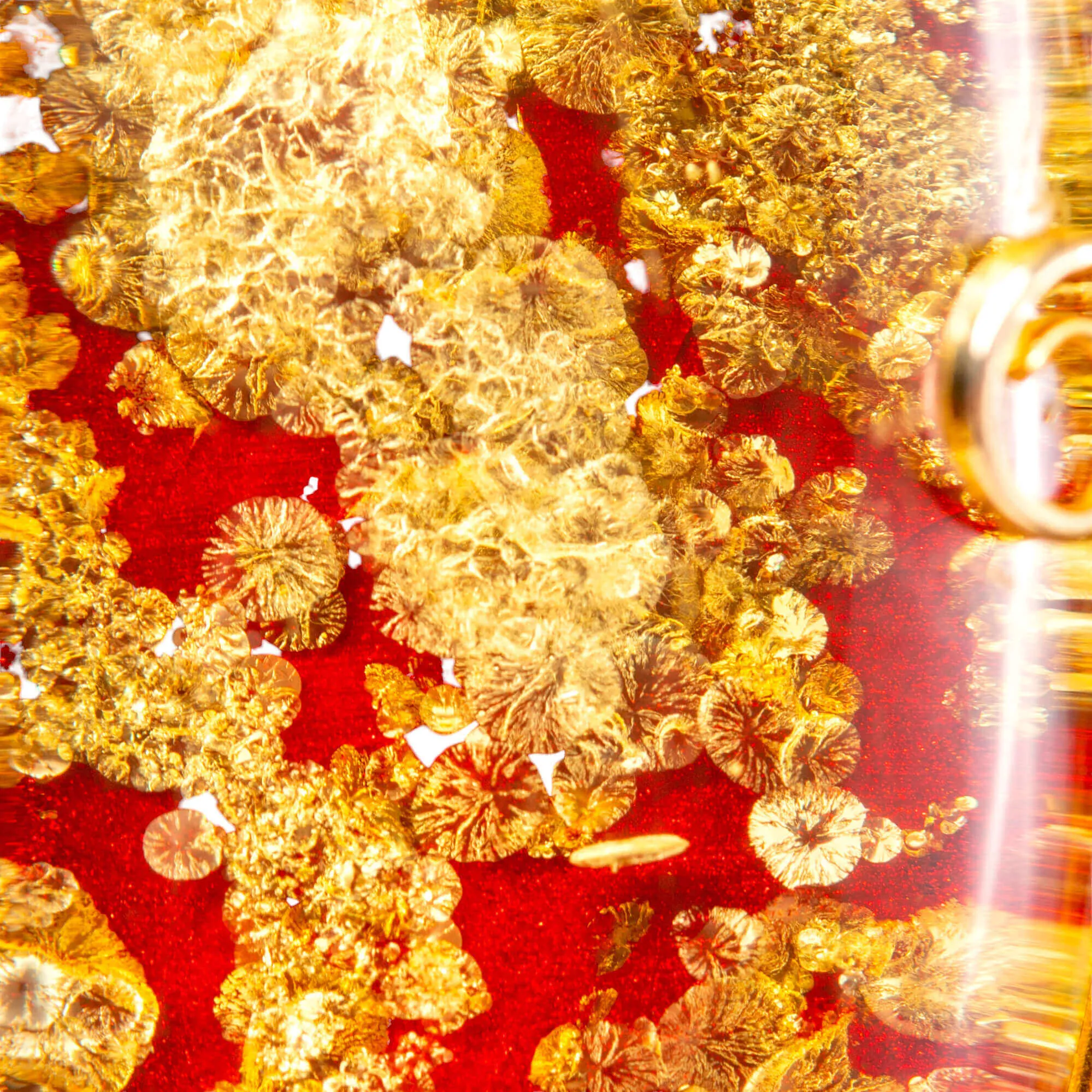 Ciondolo in ambra rossa: inclusioni dorate e raffinata eleganza.